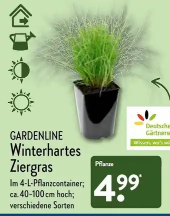 Aldi Nord Gardenline Winters Ziergrasharte Angebot