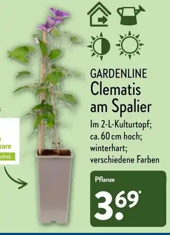 Aldi Nord Gardenline Clematis am Spalier Angebot