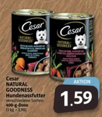 Markant Markt Cesar Natural Goodness Hundenassfutter 400g Angebot