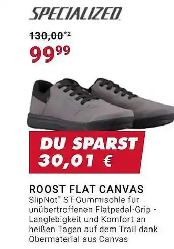 Fahrrad XXL Specialized roost flat canvas Angebot