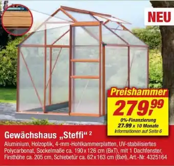 toom Baumarkt Gewächshaus ,,Steff" Angebot