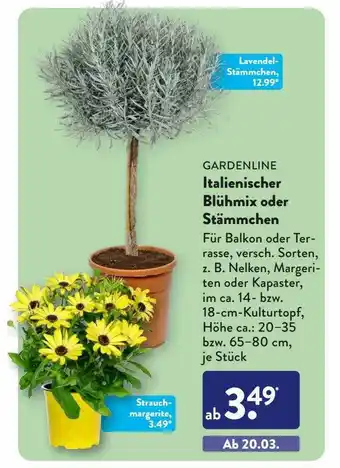 Aldi Süd Gardenline italienischer blühmix oder stämmchen Angebot