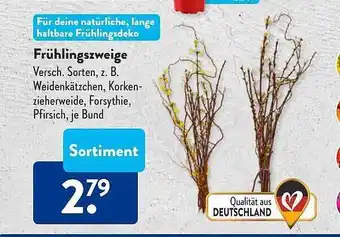 Aldi Süd Frühlingszweige Angebot