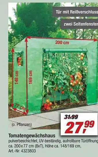 toom Baumarkt Tomatengewächshaus Angebot