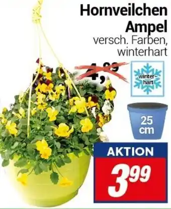 CENTERSHOP Hornveilchen Ampel Angebot