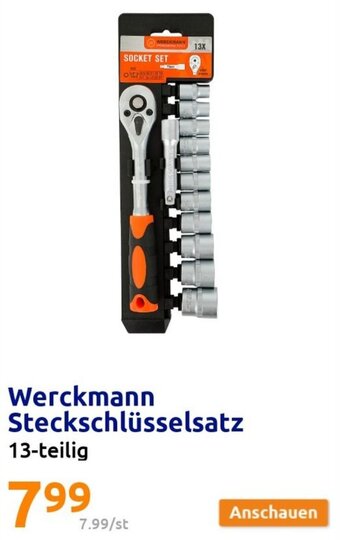 Action Werckmann Steckschlüsselsatz 13-teilig Angebot