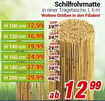 CENTERSHOP Schilfrohrmatte L 6 m H 100 cm Angebot