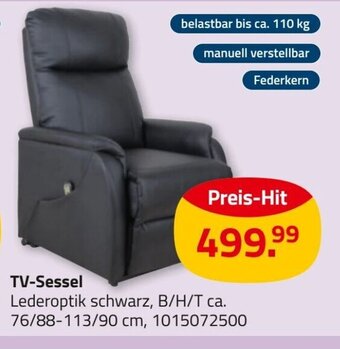 ROLLER TV-Sessel Angebot