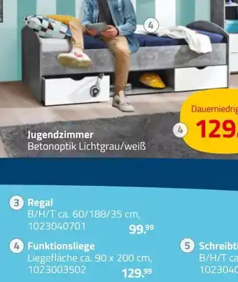 ROLLER Funktionsliege Angebot