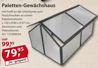 Sonderpreis Baumarkt Paletten-Gewächshaus L 120 x B 80 x H 67 cm Angebot