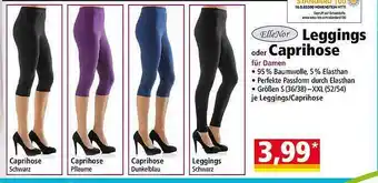 Norma Leggings Oder Caprihose Angebot