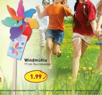 PicksRaus Windmühle Angebot