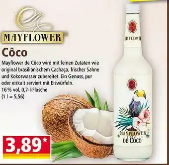 Norma Mayflower Côco Angebot