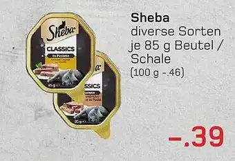 akzenta Sheba Angebot