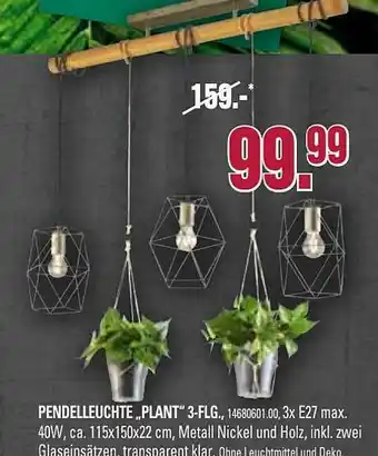 Franz Knuffmann Pendelleuchte „plant” Angebot