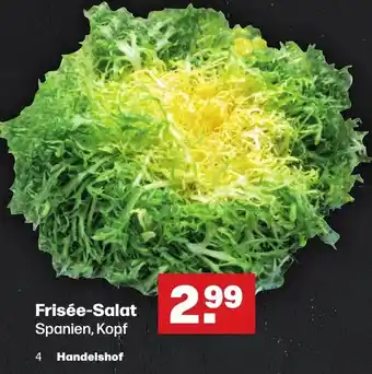 Handelshof Frisée-Salat Angebot