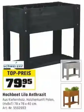 OBI Schweizer Hochbeet Lilo Anthrazit Angebot