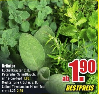 B1 Discount Baumarkt Kräuter Angebot