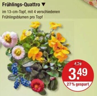 V Markt Frühlings Quattro Angebot