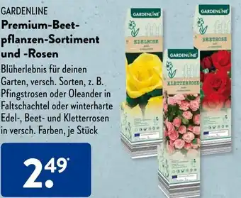 Aldi Süd Gardenline Premium-Beet pflanzen-Sortiment und-Rosen Angebot