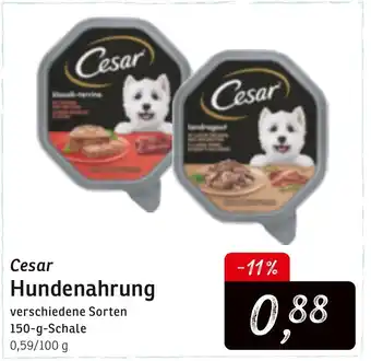 KONSUM Cesar Hundenahrung 150g Angebot