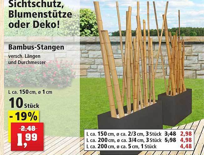 Bambusstangen Angebot bei Thomas Philipps