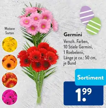 Aldi Süd Germini Angebot