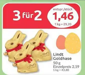 Budni Lindt goldhase Angebot