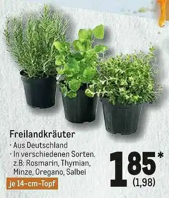 METRO Freilandkräuter Angebot