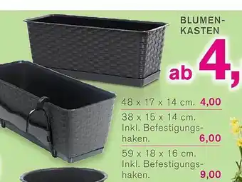 KODi Blumenkasten Angebot