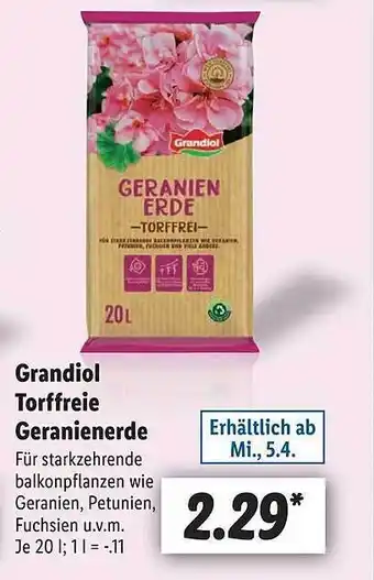 Lidl Grandiol torffreie geranienerde Angebot