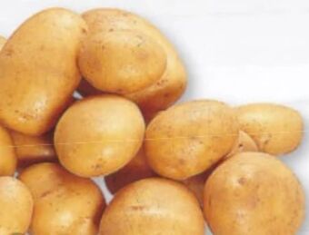 Nah & Frisch Speisekartoffeln drillinge Angebot