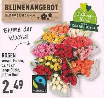 Marktkauf Rosen Angebot