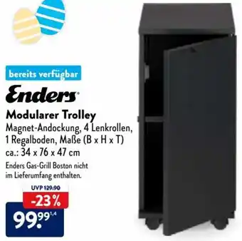 Aldi Nord Enders Modularer Trolley Angebot