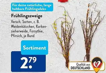 Aldi Süd Frühlingszweige Angebot