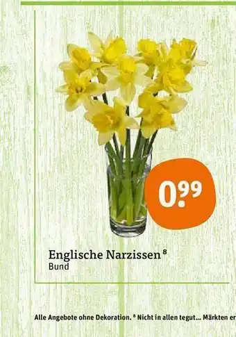 tegut Englische Narzissen Angebot