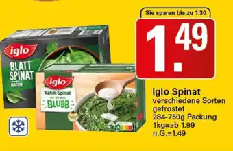 WEZ Iglo spinat Angebot