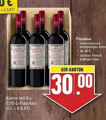 Scheck-in-Center Doppio passo primitivo Angebot