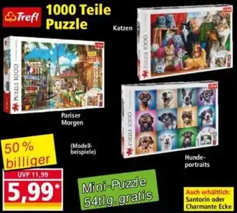 Norma Trefl 1000 Teile Puzzle Angebot