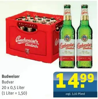 Getränke Arena Budweiser Budvar 20 x 0,5 L Angebot