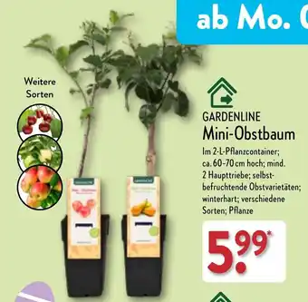 Aldi Nord Gardenline Mini Obstbaum Angebot