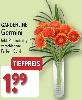 Aldi Nord Gardenline Germini Angebot