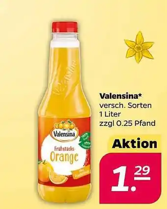 NETTO Valensina Angebot