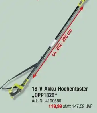 toom Baumarkt Ryobi 18 V Akku Hochentaster ,,OPP1820" Angebot