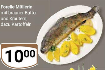 Globus Forelle Müllerin Angebot