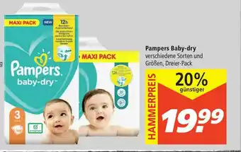 Marktkauf Pampers Baby-dry Angebot