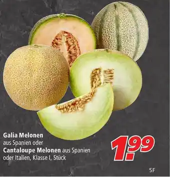 Marktkauf Galia Melonen Oder Cantaloupe Melonen Angebot