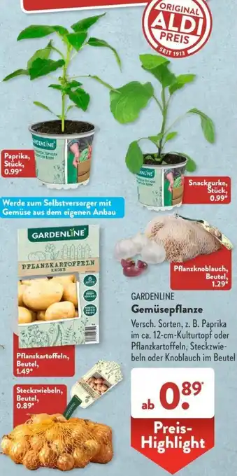 Aldi Süd Gardenline Gemüsepflanze Angebot