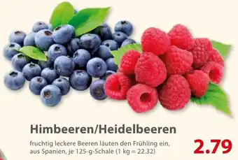 basic Himbeeren/Heidelbeeren 125 g Schale Angebot