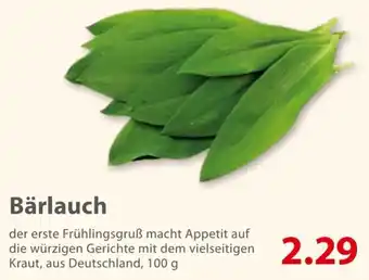 basic Bärlauch 100 g Angebot